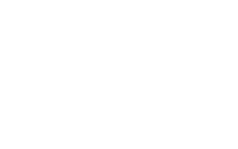 Mirror across both axes